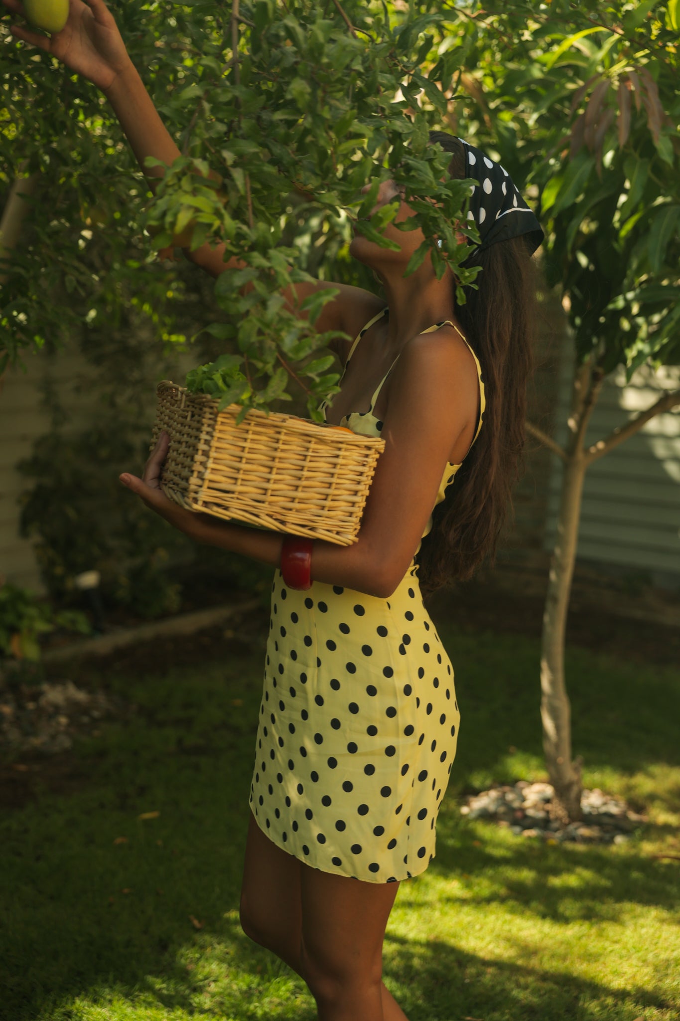Polka Dot Mini Dress in Yellow & Black