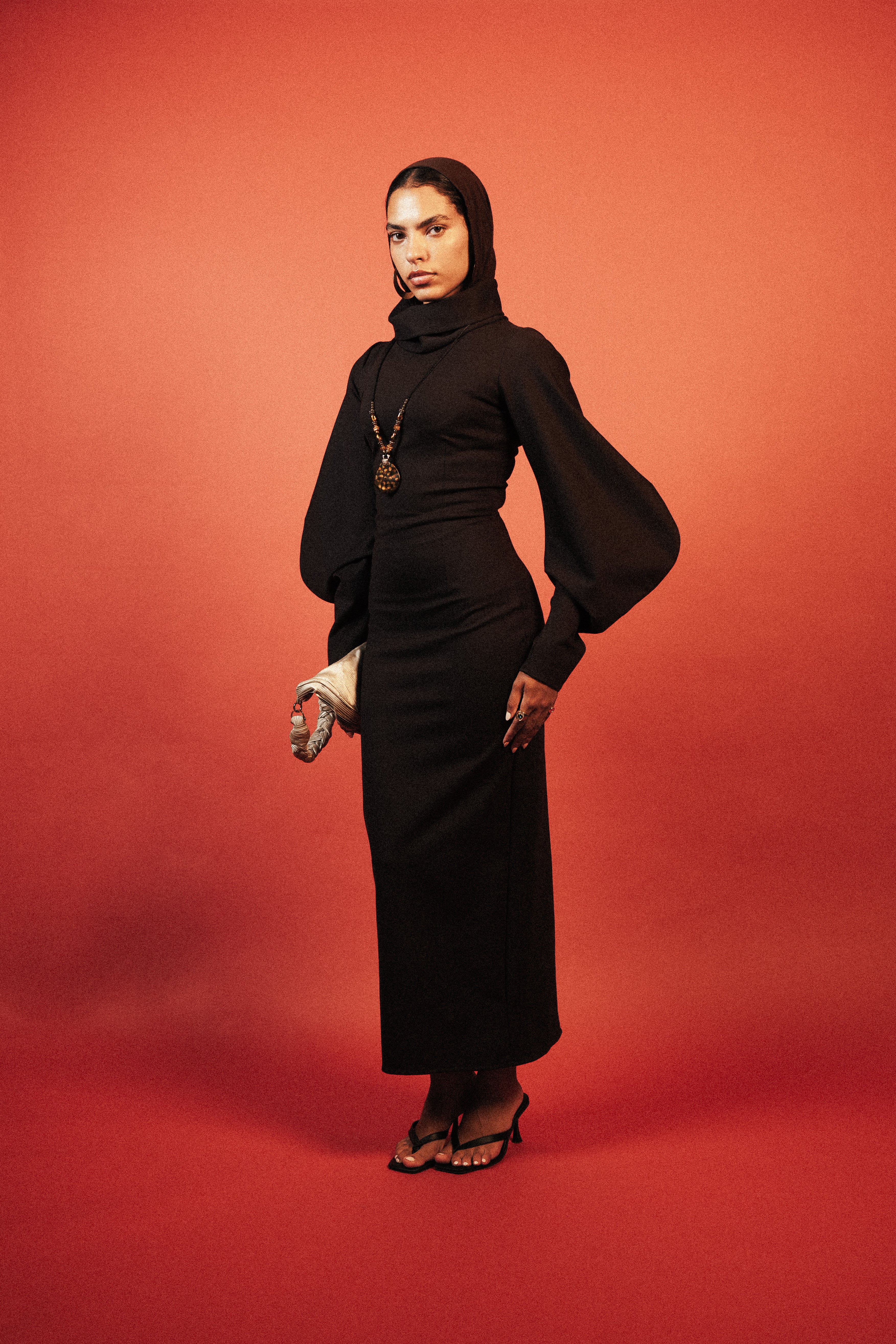 High Collar Statement Sleeves Dress