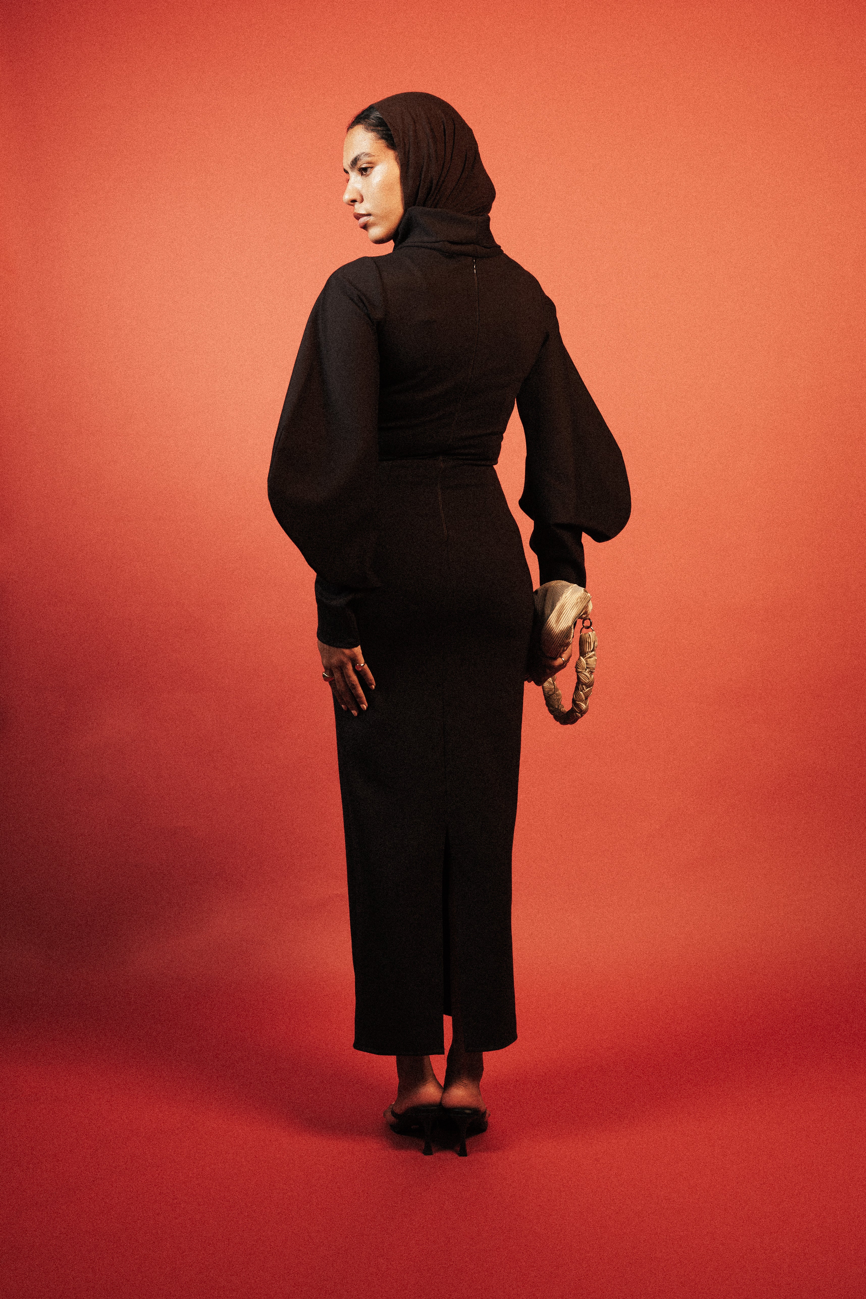High Collar Statement Sleeves Dress
