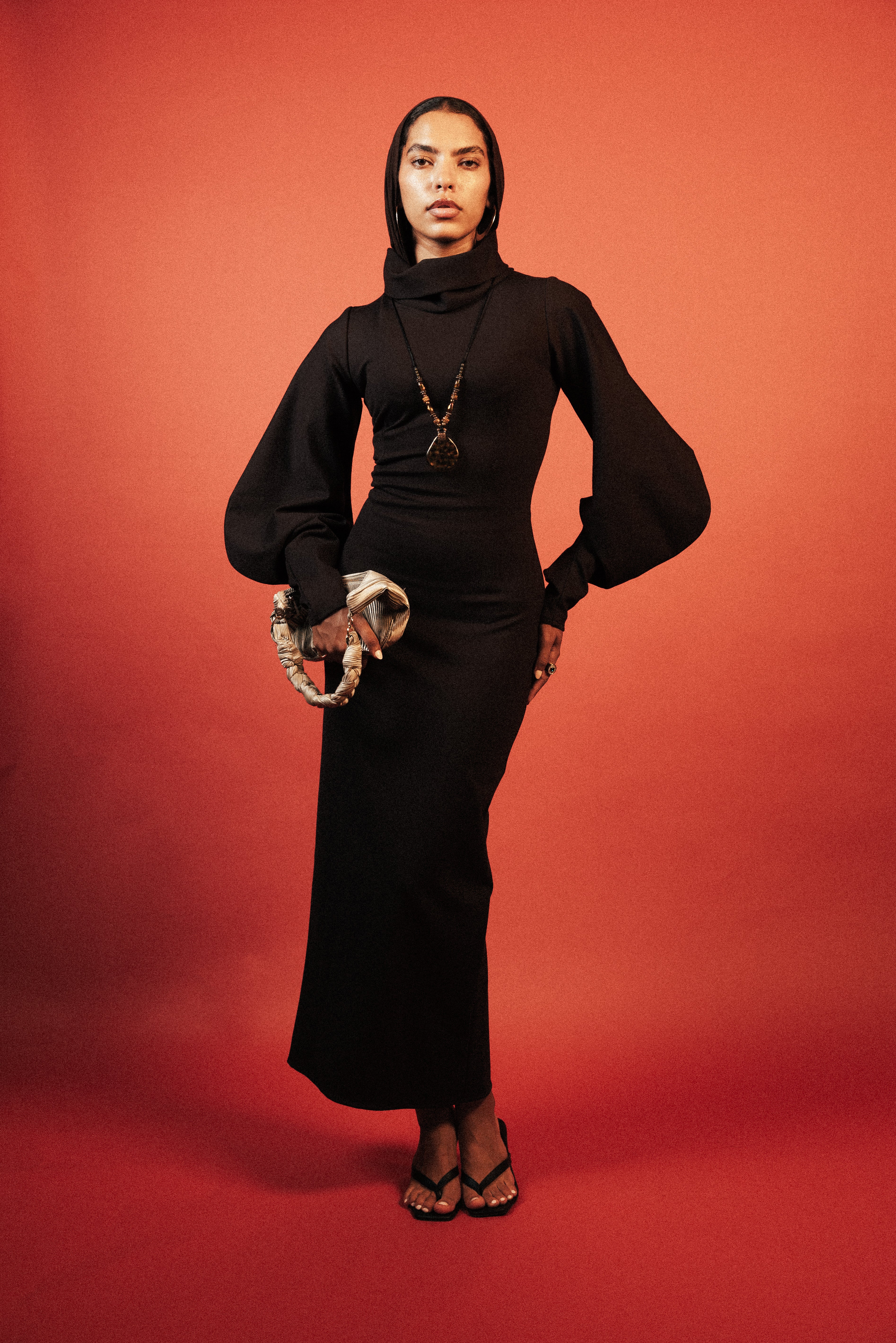 High Collar Statement Sleeves Dress