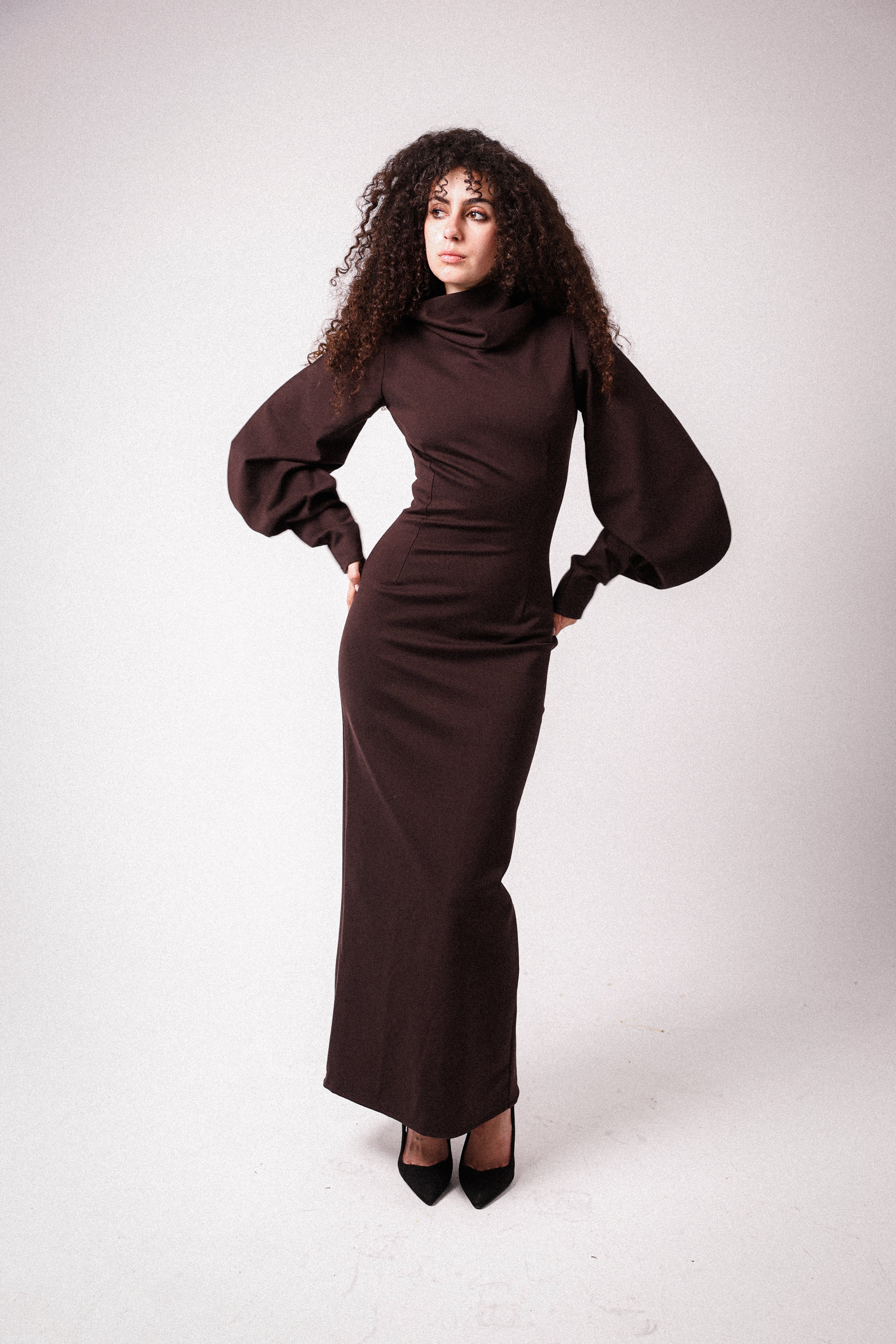 High Collar Statement Sleeves Dress