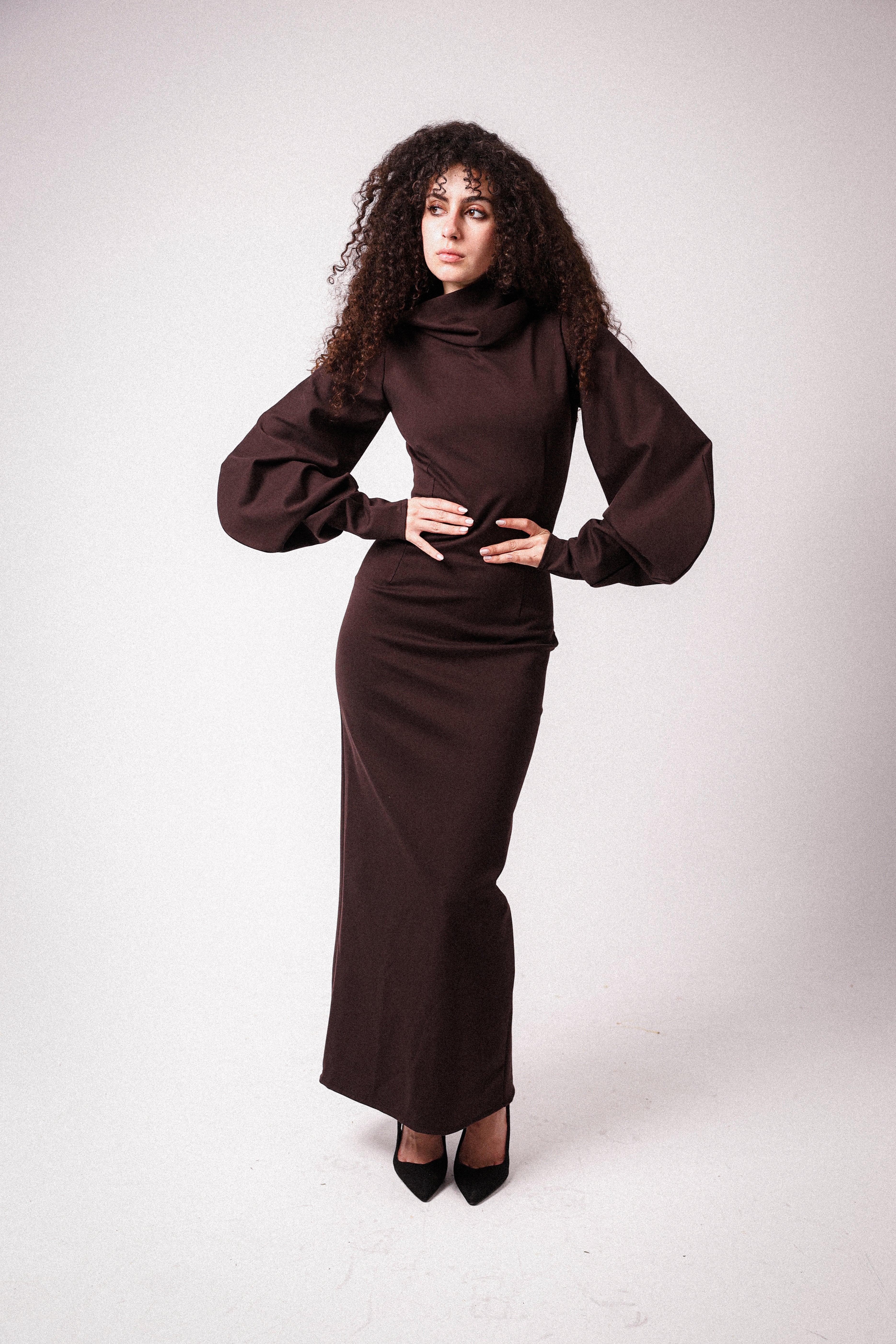 High Collar Statement Sleeves Dress