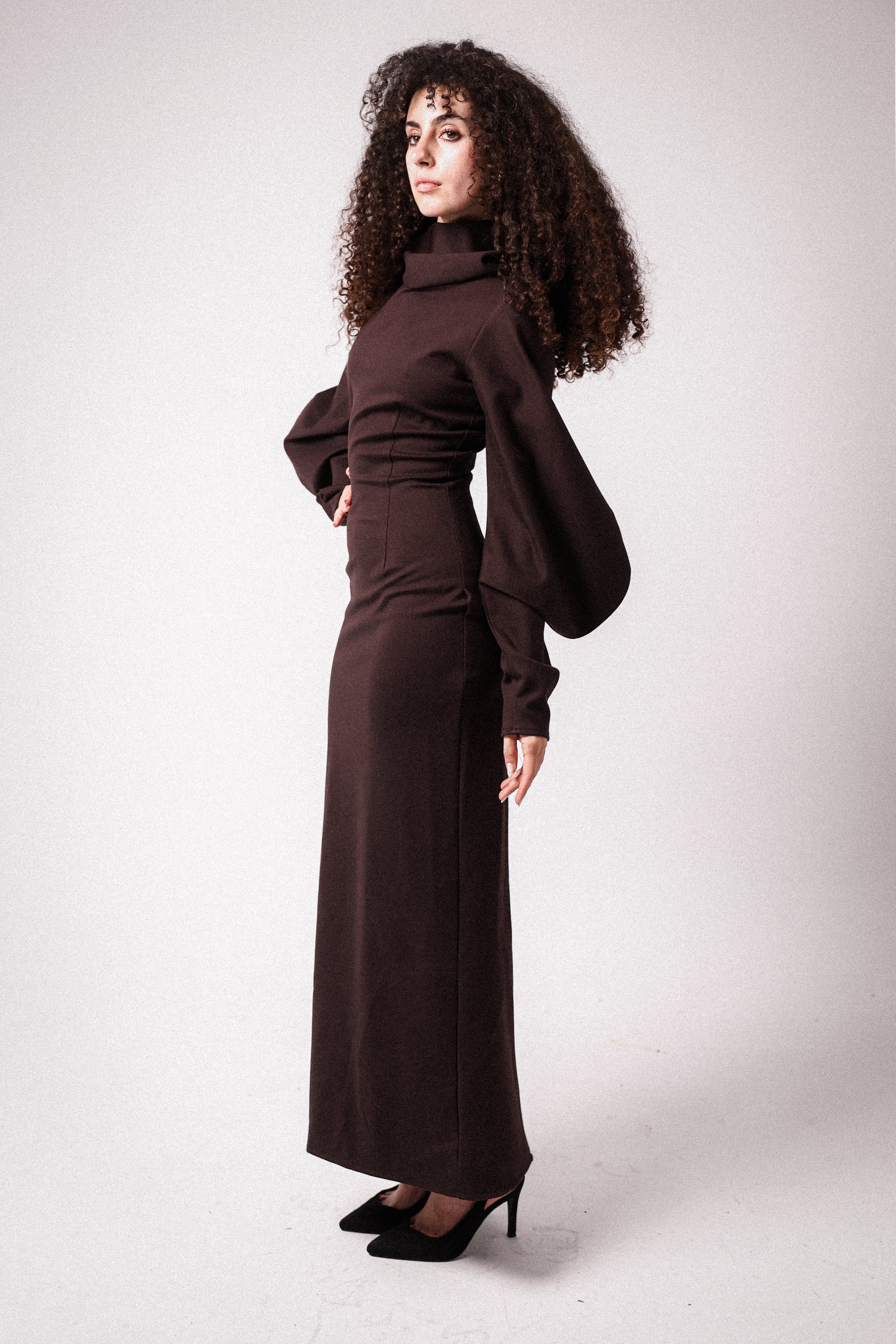 High Collar Statement Sleeves Dress