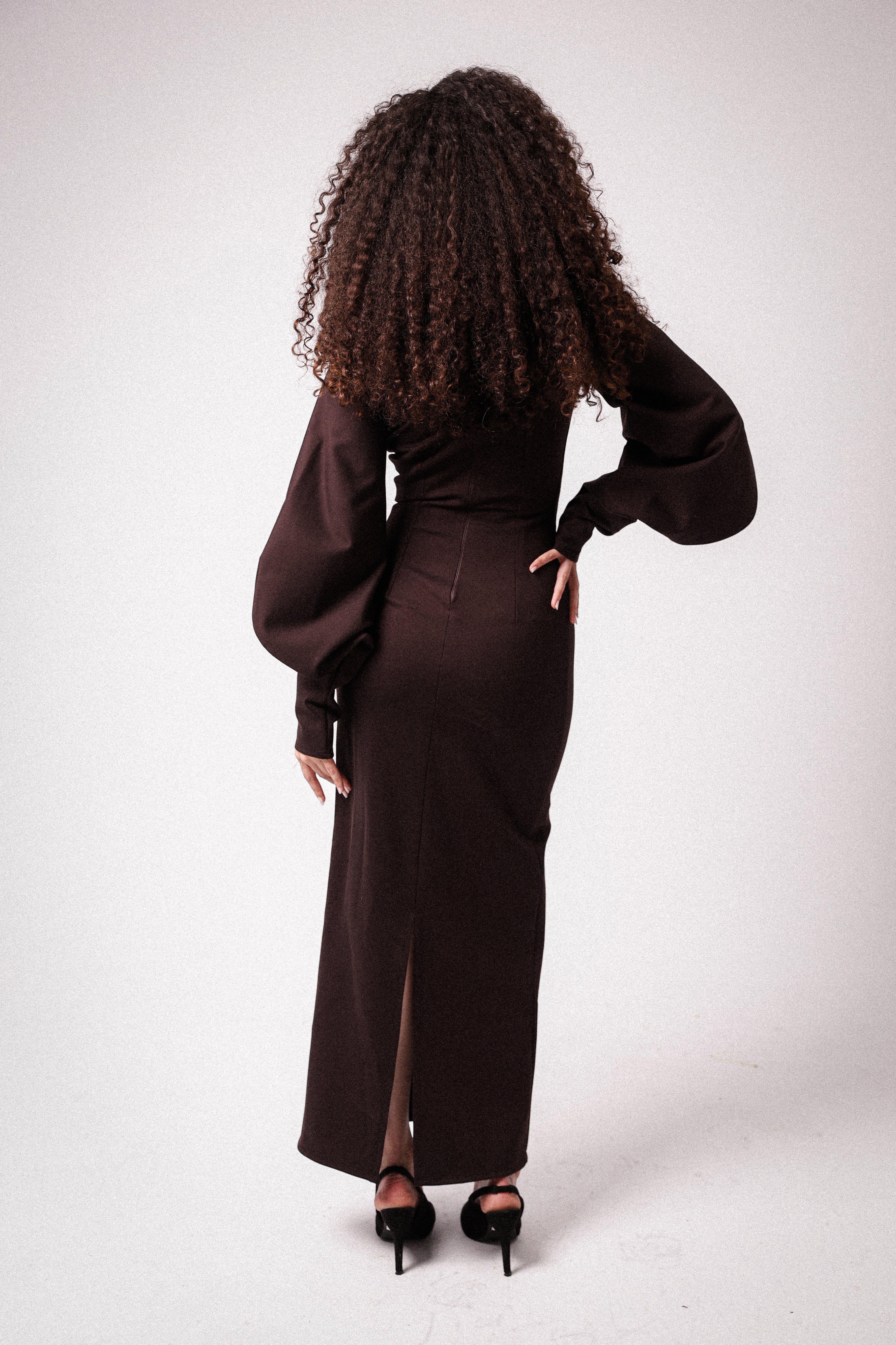 High Collar Statement Sleeves Dress