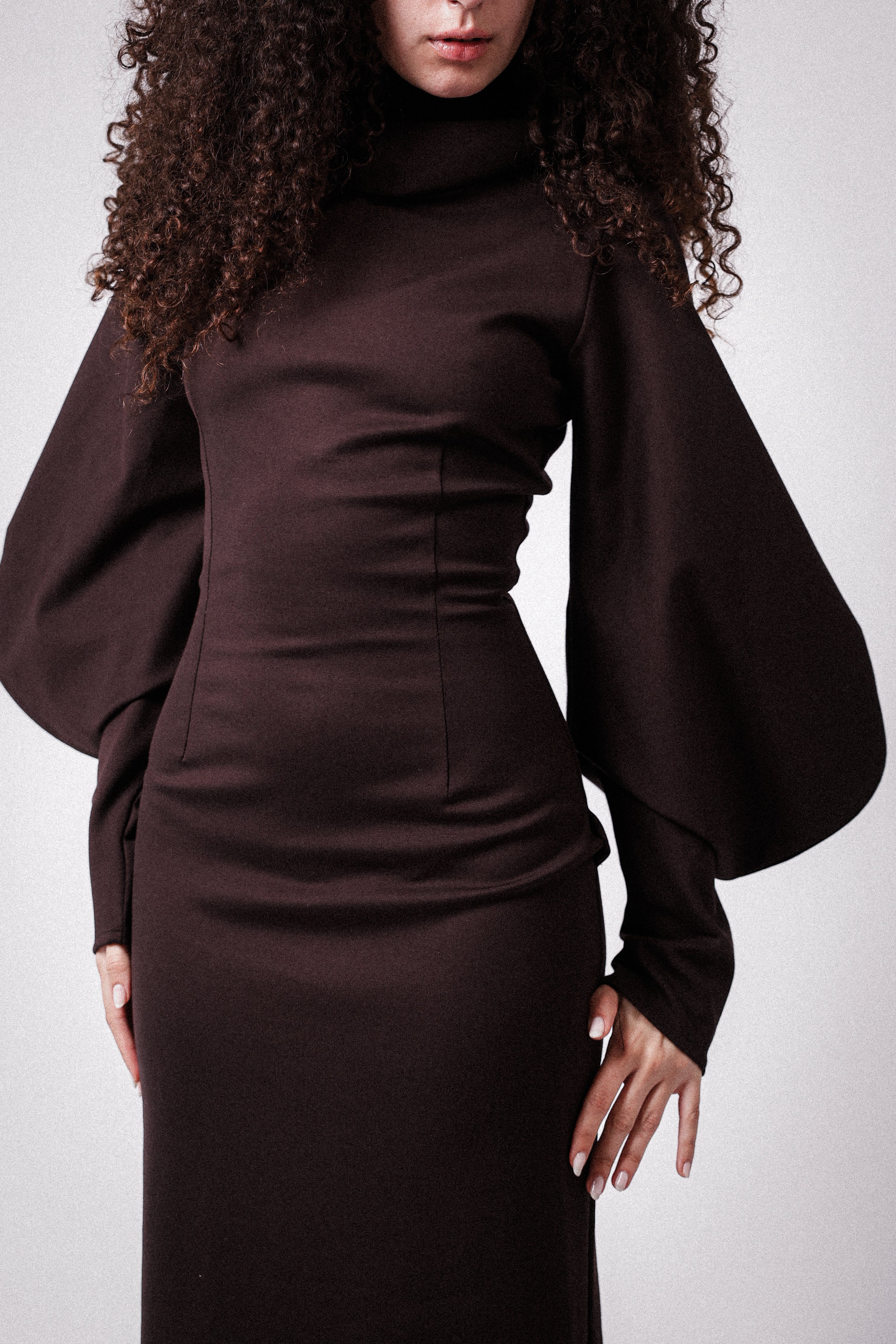 High Collar Statement Sleeves Dress