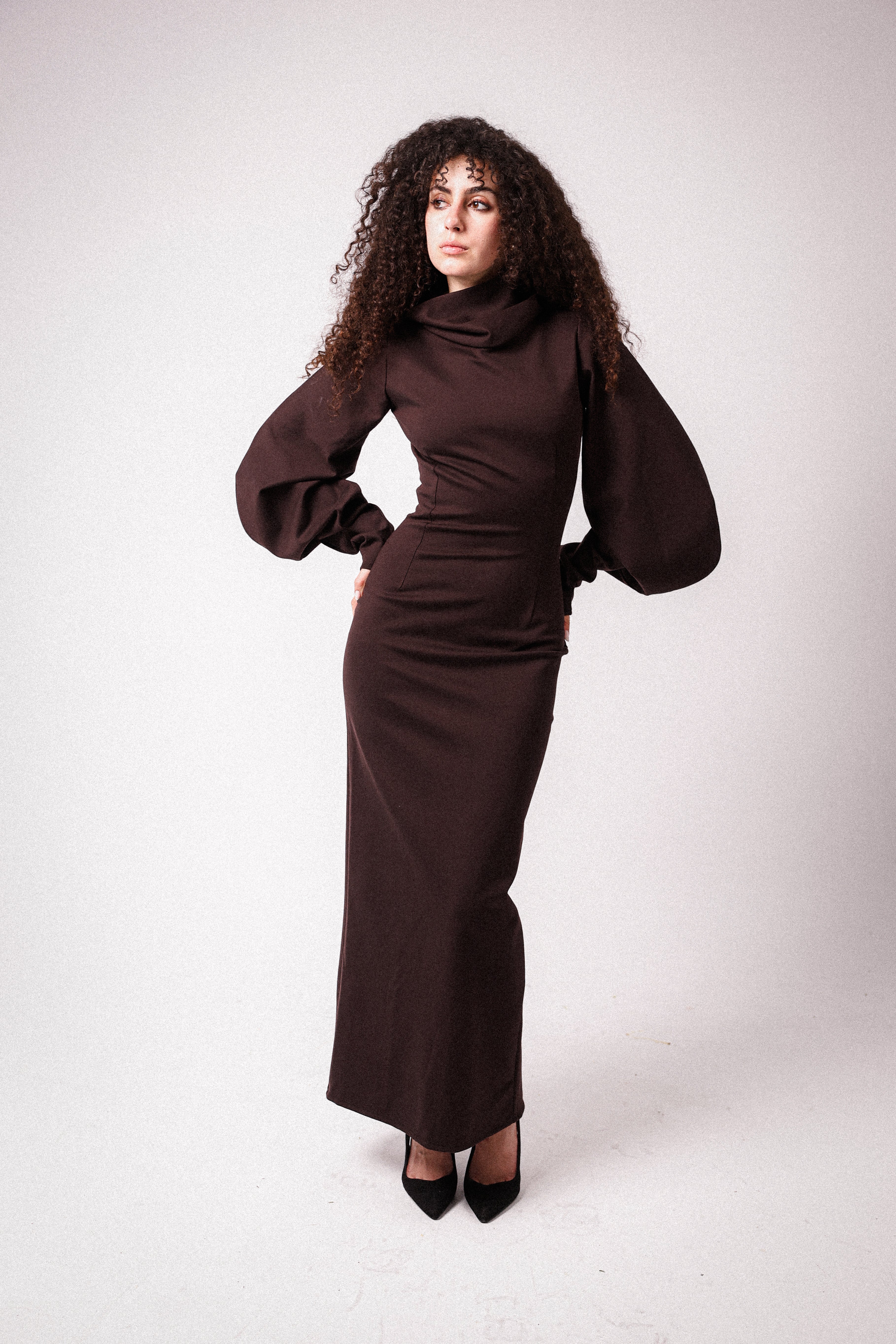 High Collar Statement Sleeves Dress